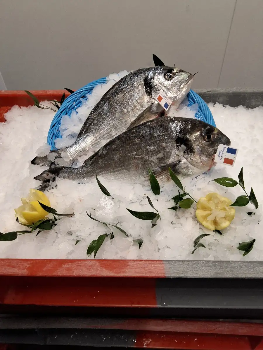 Daurade Élevage Aquafrais Cannes