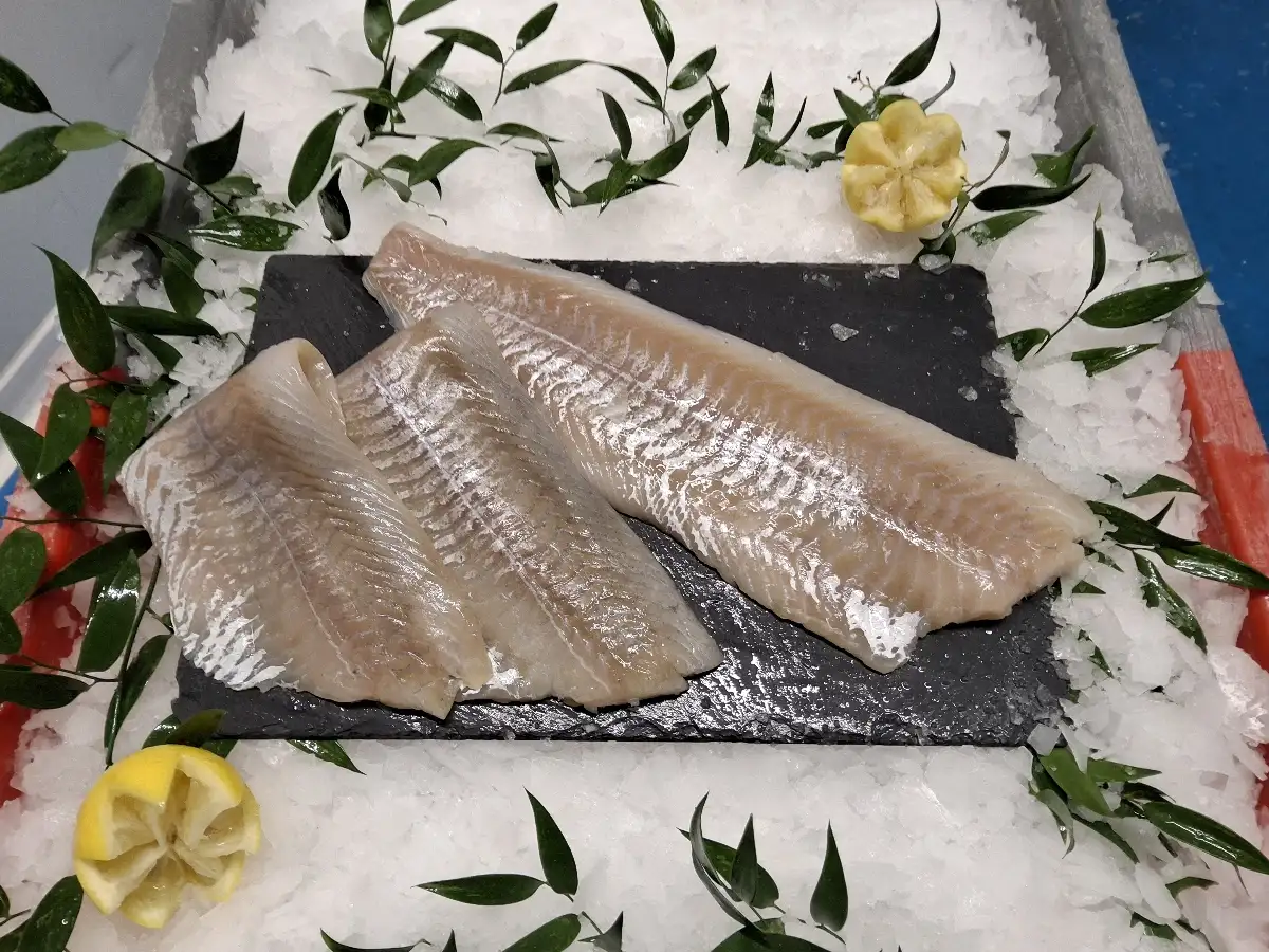 Filets de lieu noir