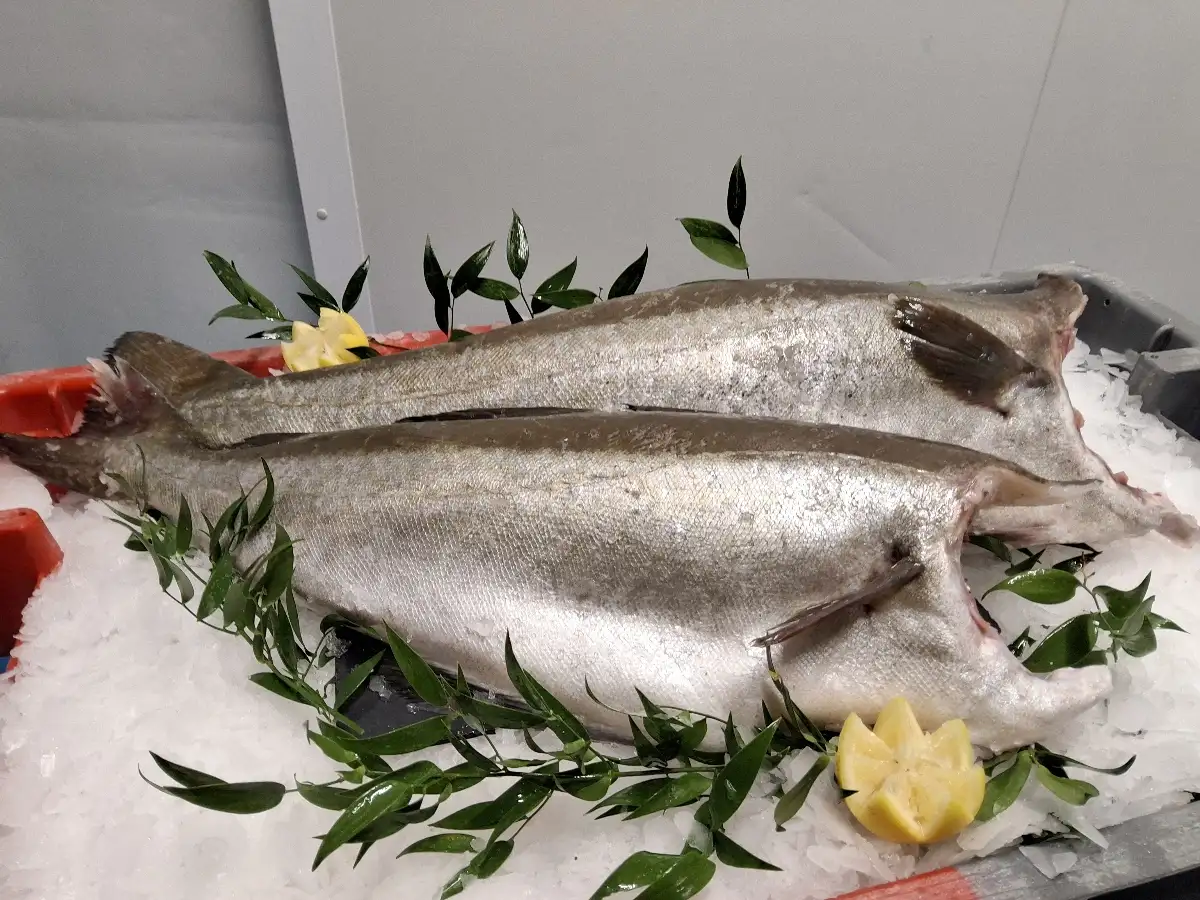 Tranches de lieu jaune