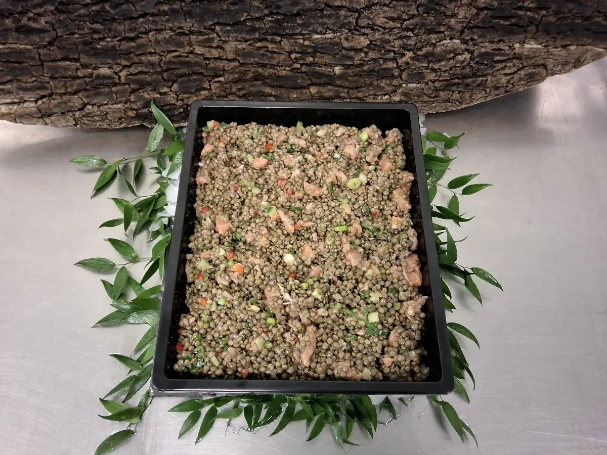 Salade de lentille aux saumon gravelax