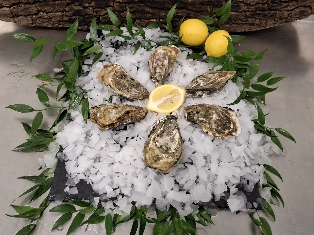 1 douzaine huitres fine de claire n°3